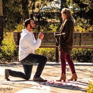 Meet your Posher, Bailey